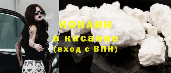 mdpv Краснослободск