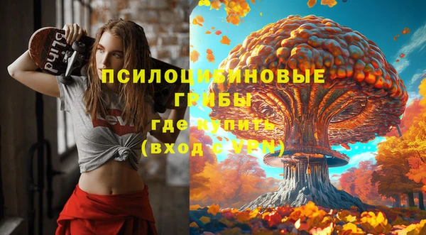 mdpv Краснослободск