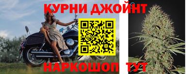 сатива Изобильный
